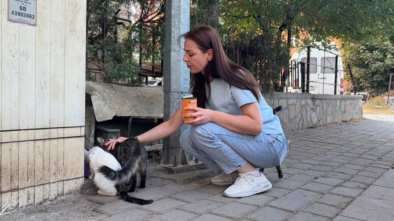 Sokak Kedisinin Başını Ve Ayaklarını Kesip Apartman Önüne Bıraktılar