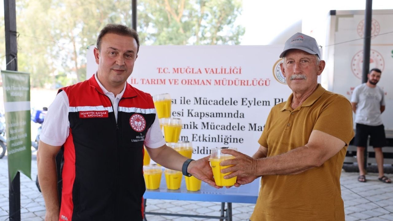 Turunçgil Destek