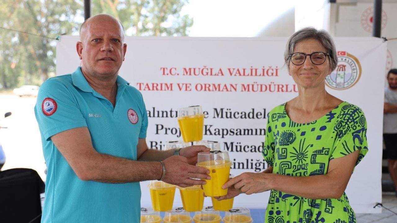 Turunçgil Destek2