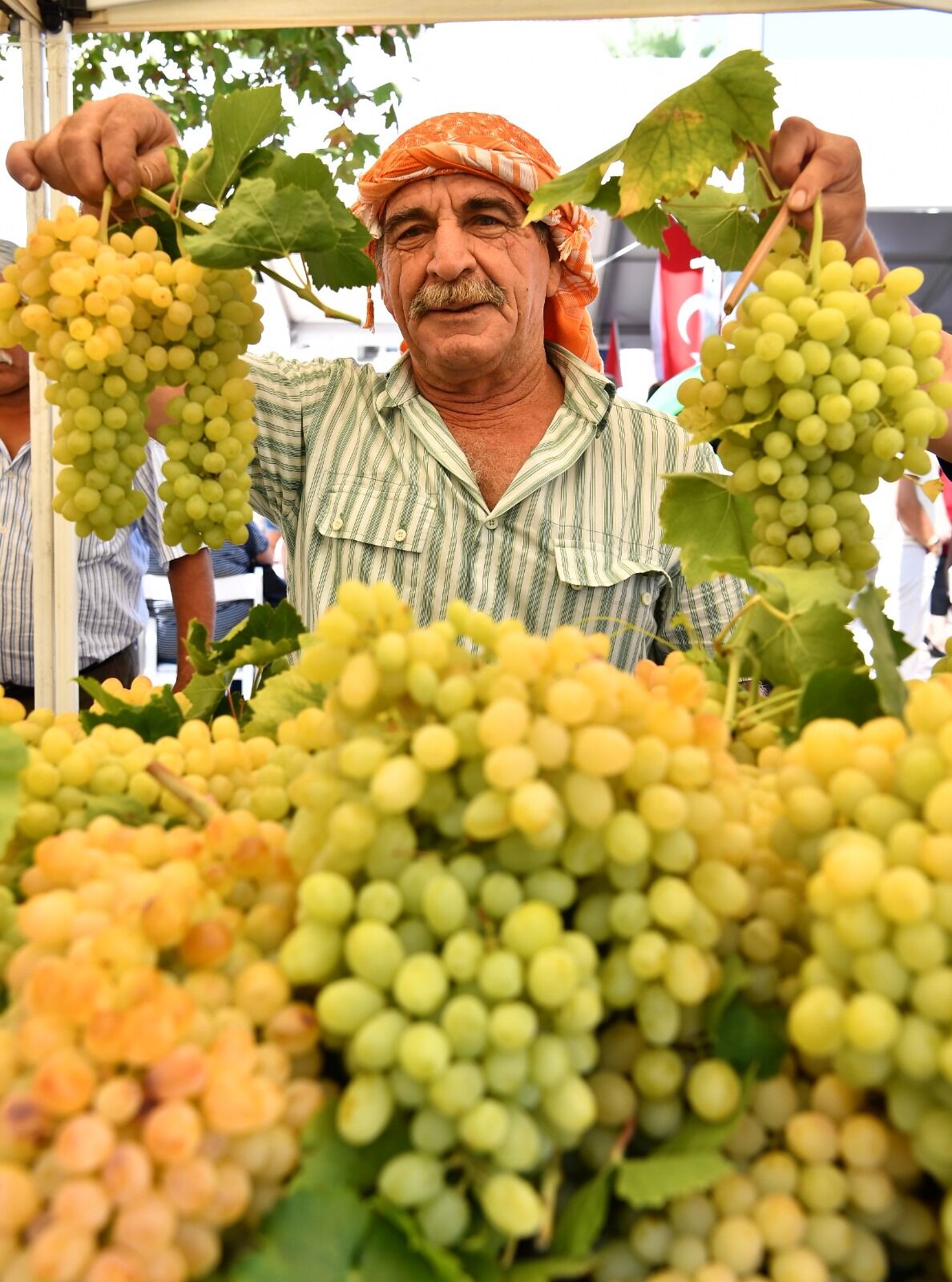 Urla’da 2600 Yıllık Gelenek Için Geri Sayım! Bağbozumu Şenlikleri Ne Zaman Başlıyor (6)