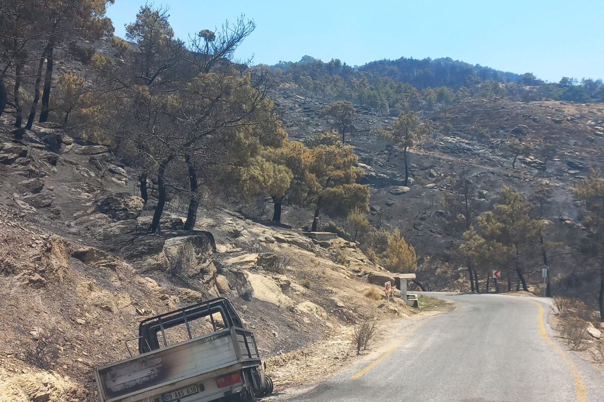 Yangın Sürerken Res Şirketi Ağaçları Söktü Yol Genişletti Iddiası 2
