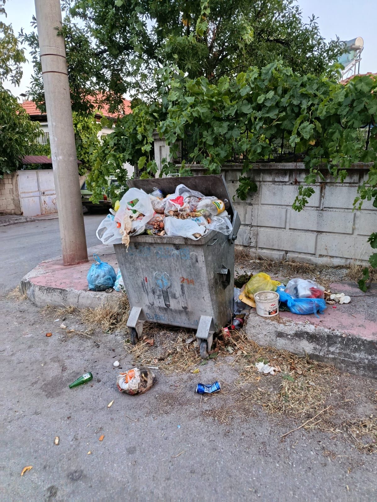 Yeşilyuva'da Çöp Ve Sinek Kabusu Vatandaş Isyan Noktasında! (1)-1