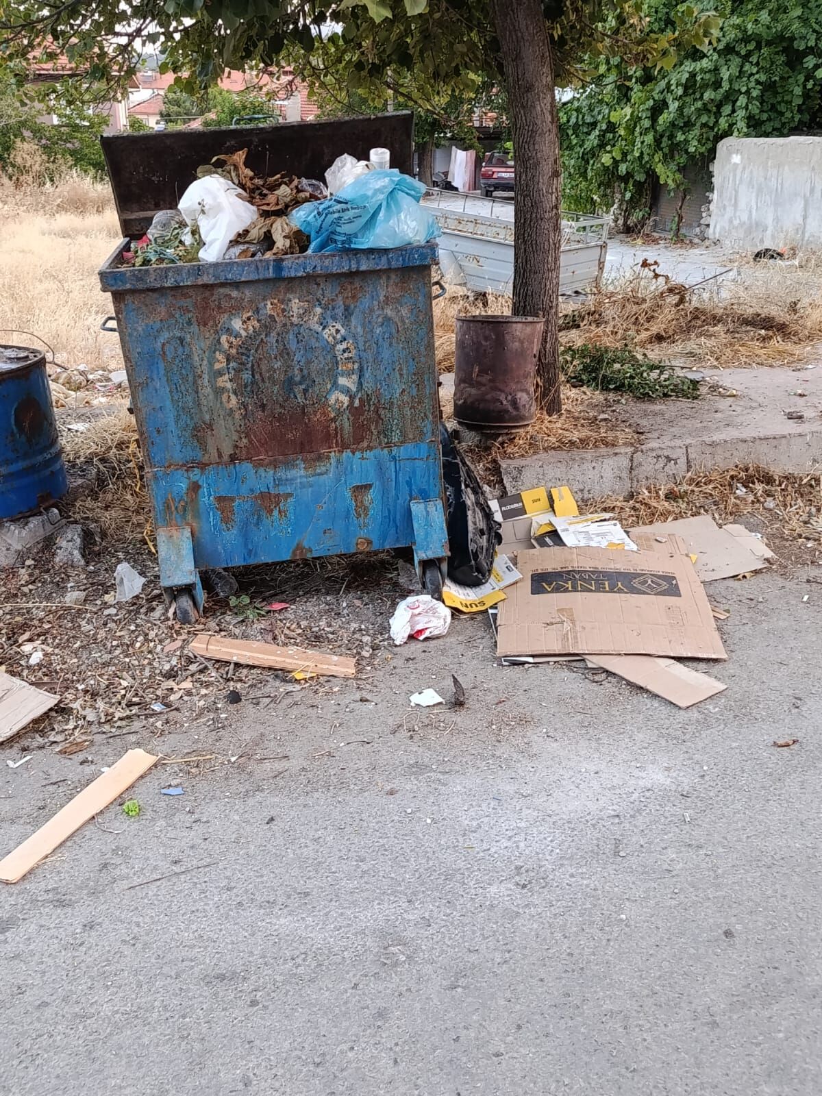 Yeşilyuva'da Çöp Ve Sinek Kabusu Vatandaş Isyan Noktasında! (4)
