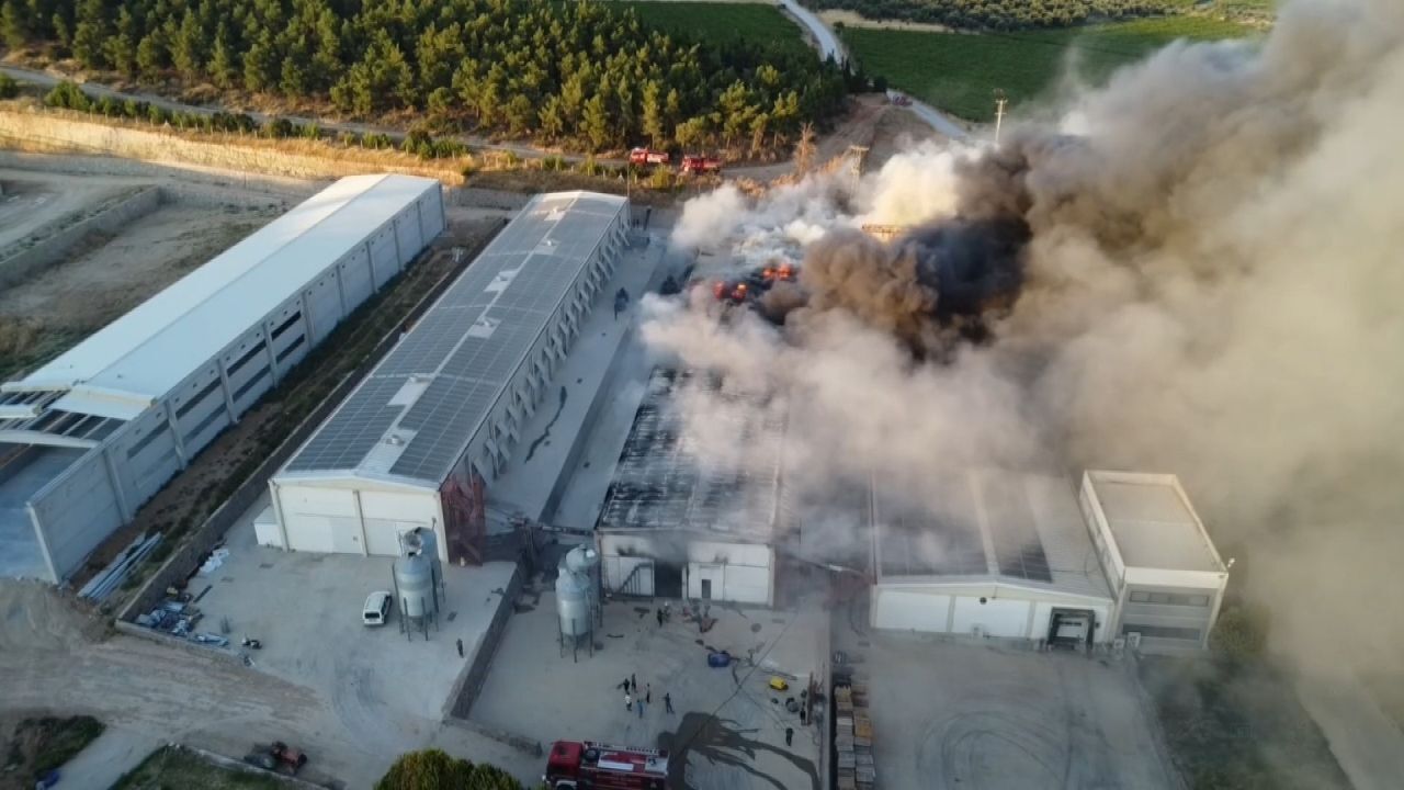 Yumurta Üretim Tesisi Küle Döndü1