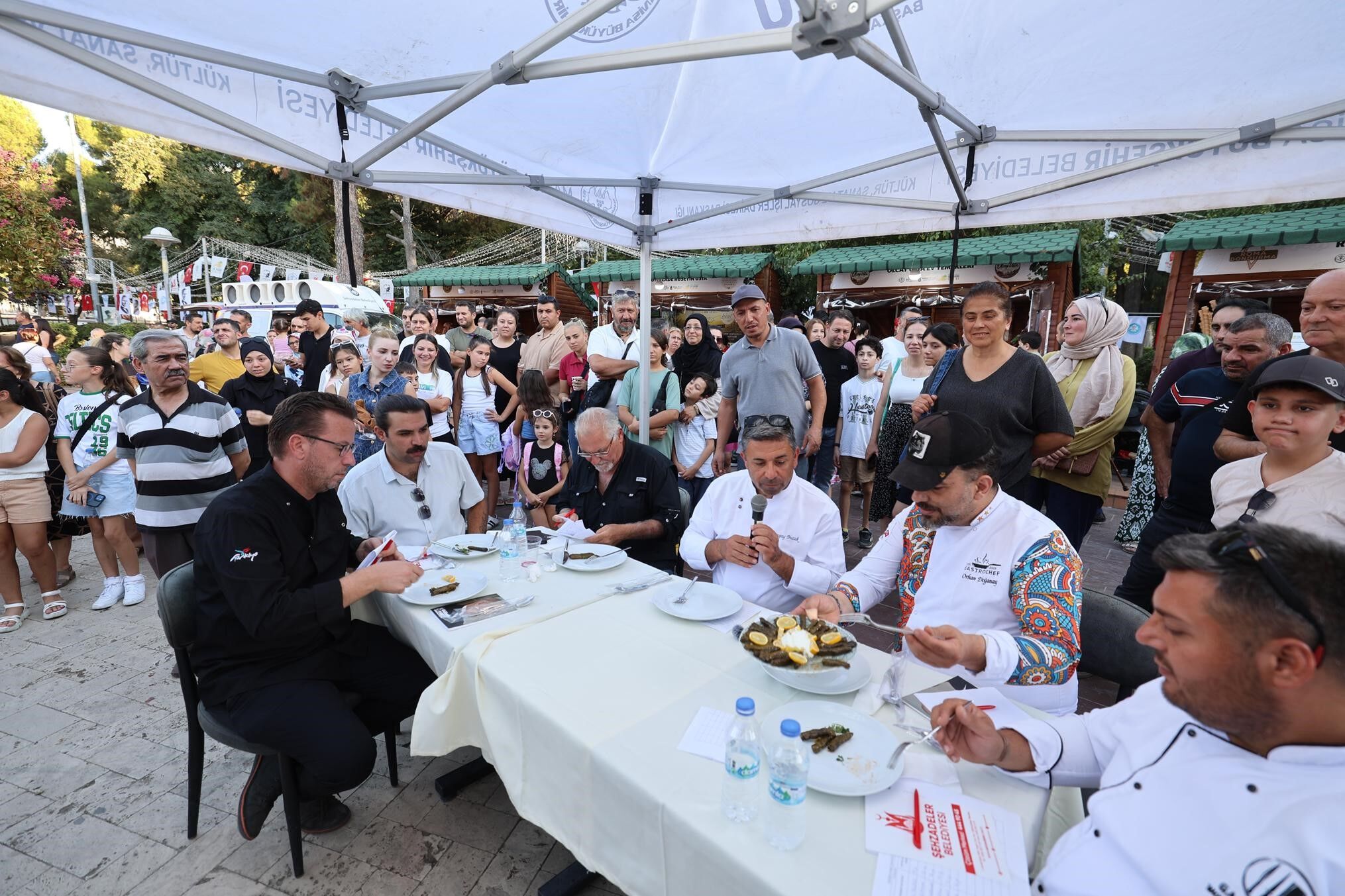 Manisa Bağ Bozumu 2
