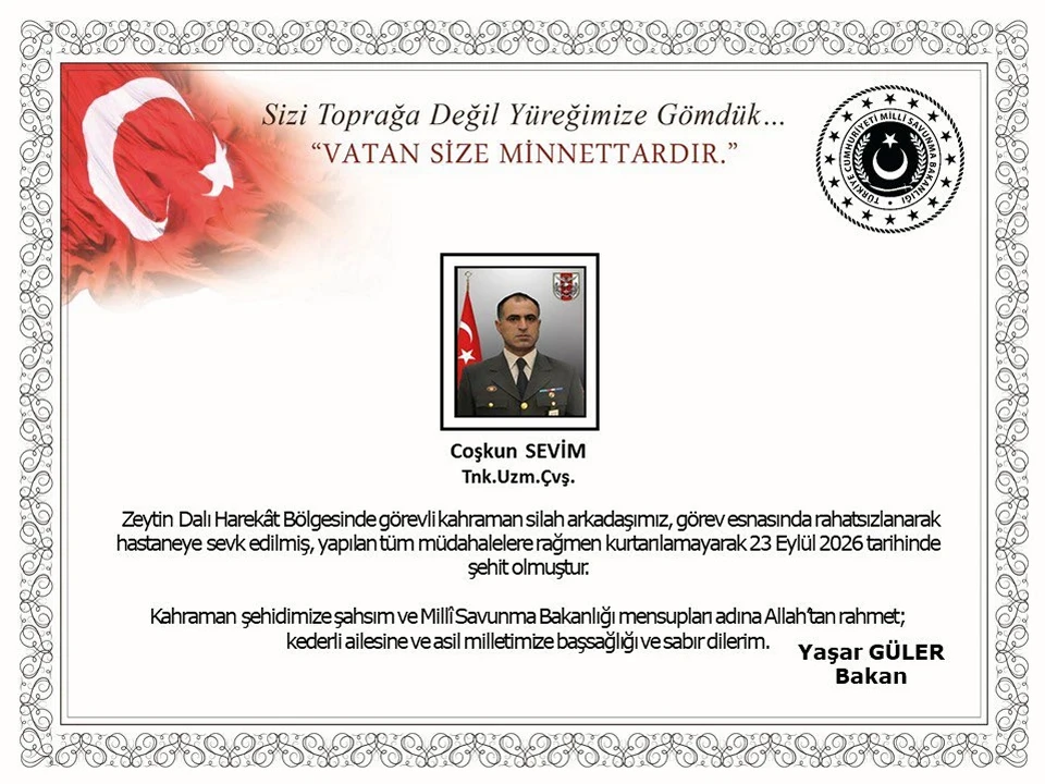 Msb Zeytin Dalı1