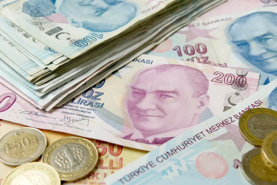 Vatandaşlık Maaşı 3