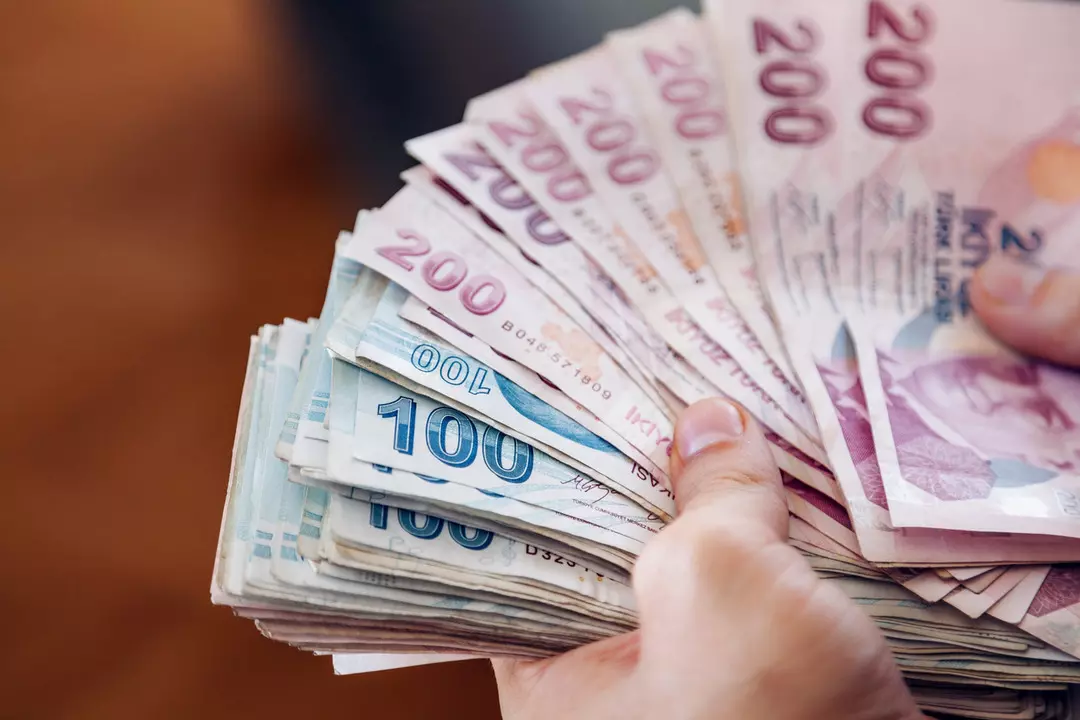 Vatandaşlık Maaşı 4