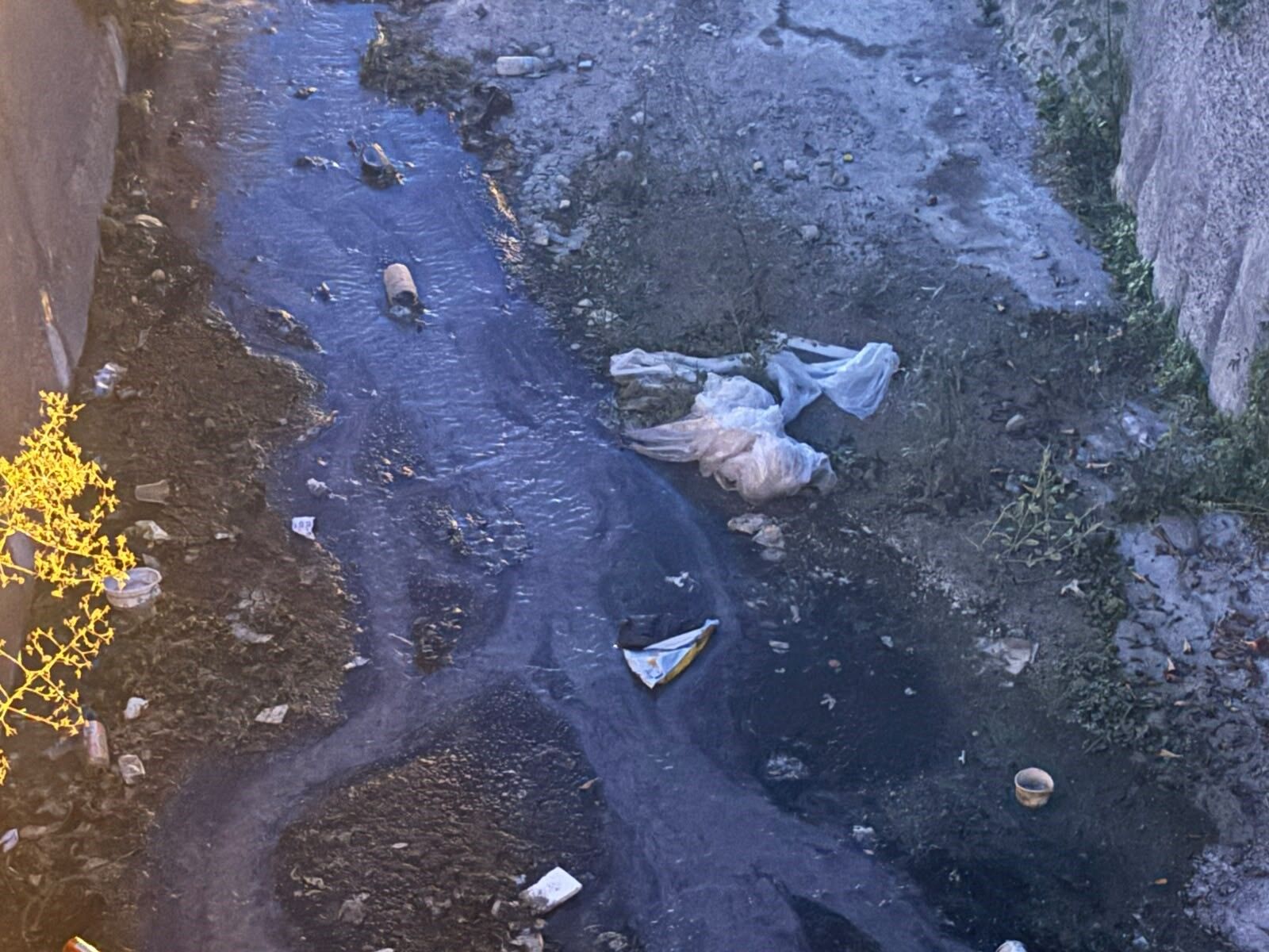 Urla'da Atatürk İlkokulu önünden geçen deredeki kirlilik ve koku mahalleliyi isyan ettirdi. Emekli öğretmen Hakan Yağcı, "Ekipmanı ben alayım, yetkiyi verin ben temizleyeyim" diyerek belediyeye çağrıda bulundu.