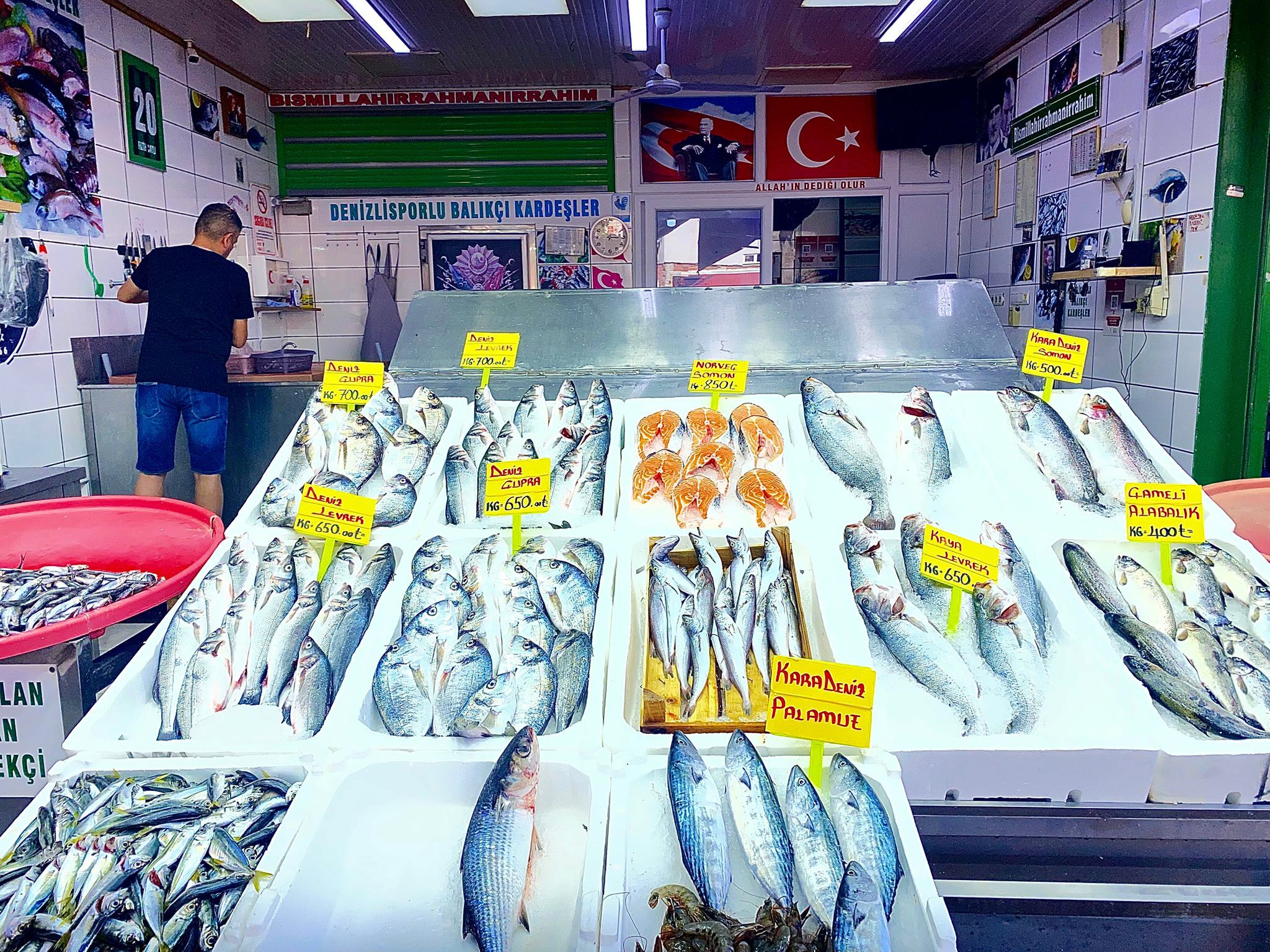 Balık Sezonu (1)