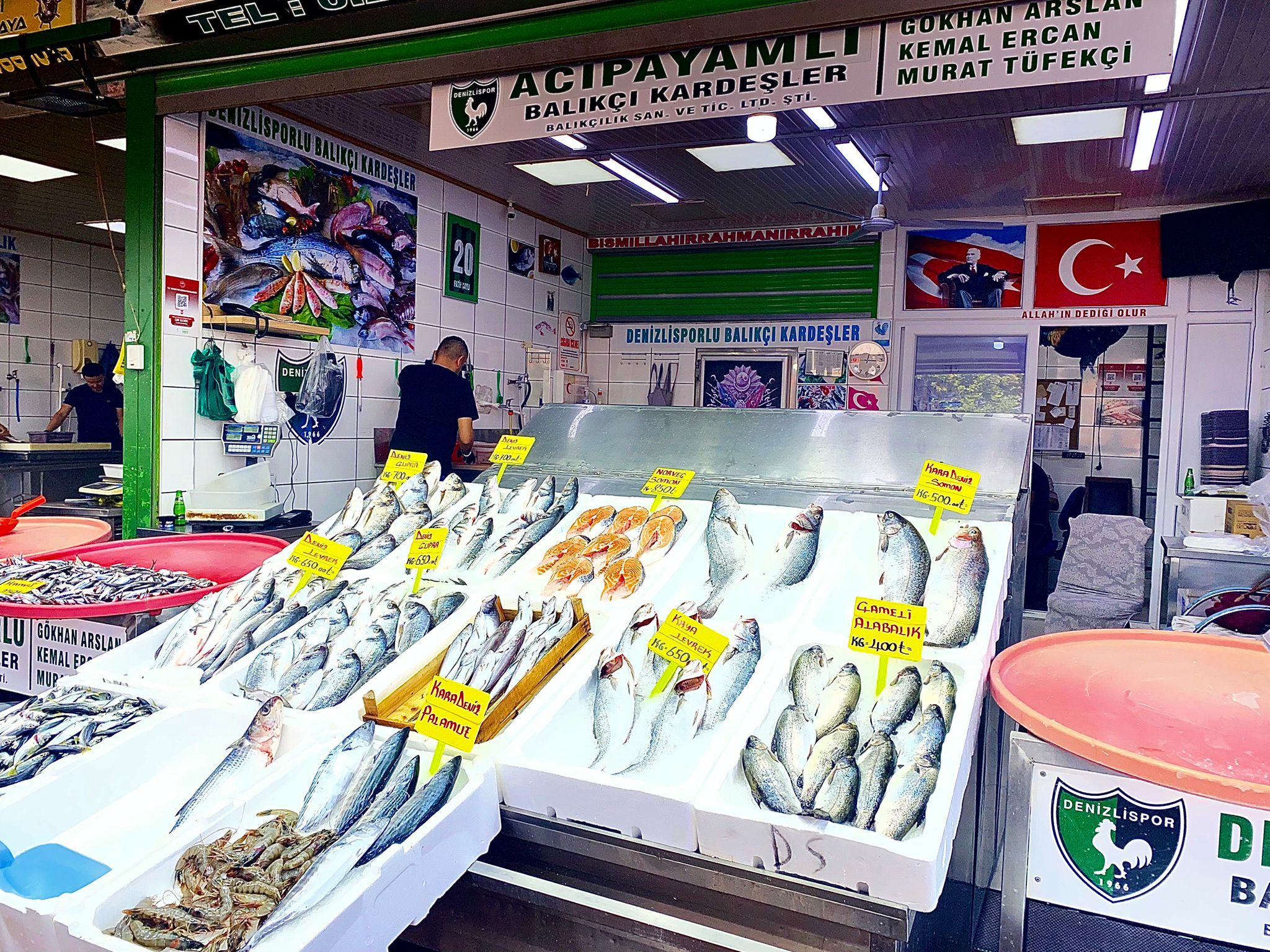 Balık Sezonu (3)