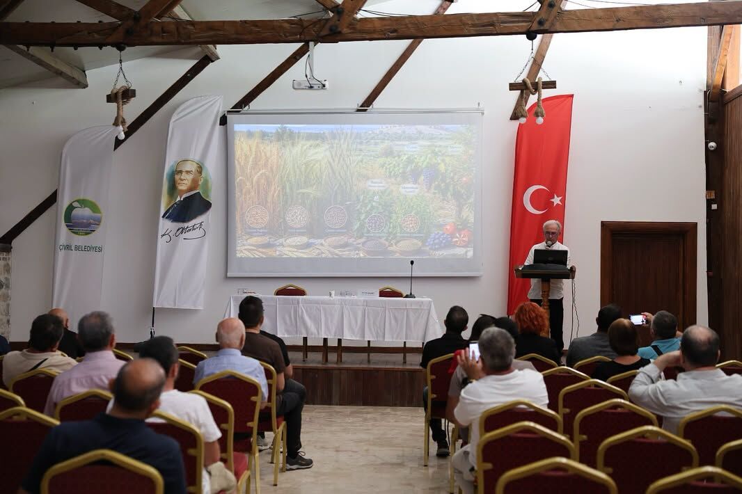 Ege