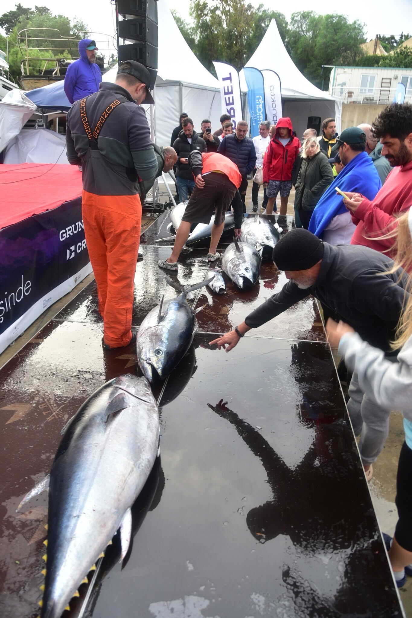 Big Fish Türkiye’de büyük final: Şampiyonluk 100 kiloluk orkinosla geldi