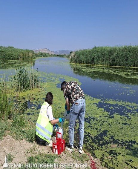 Gediz Nehri'nde Kirlilik Alarmı Yağışlar Azalınca Kirlilik Yükü Tırmanışa Geçti (6)