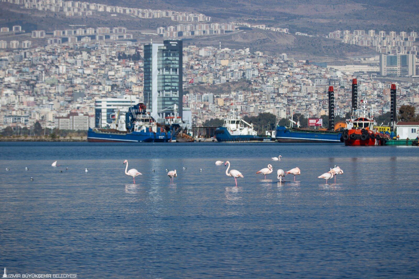 İzmir, Avrupa’nın Iklim Gündeminde Buluşma Noktası Oluyor (3)