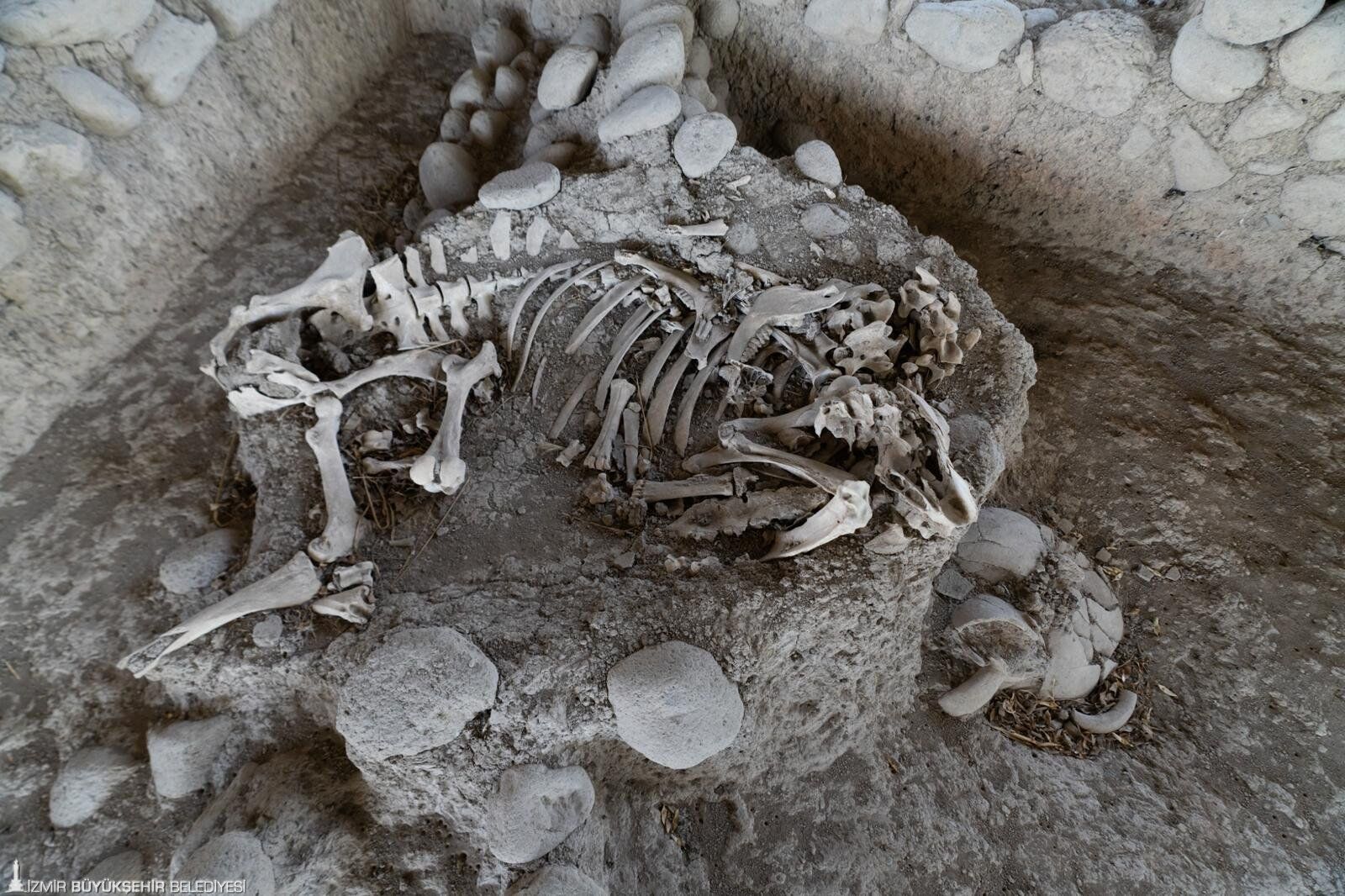 İzmir’in Troya’sı Yassıtepe Höyüğü Kazılarında 5 Bin Yıllık Zenginliğin Izleri Bulundu (3)