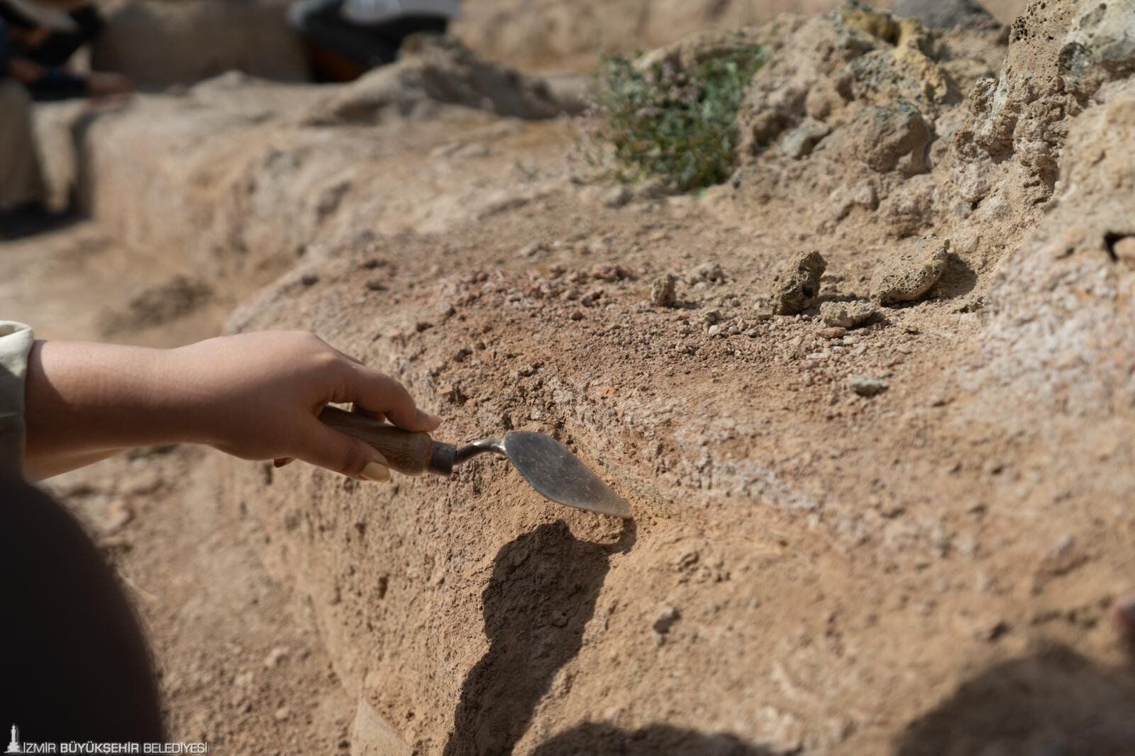 İzmir’in Troya’sı Yassıtepe Höyüğü Kazılarında 5 Bin Yıllık Zenginliğin Izleri Bulundu (7)
