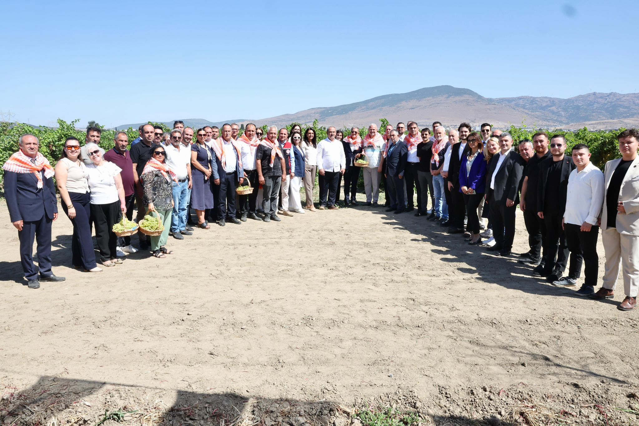 Menemen’de Bağ Bozumu Başladı 18 Bin Ton Rekolte Bekleniyor (5)