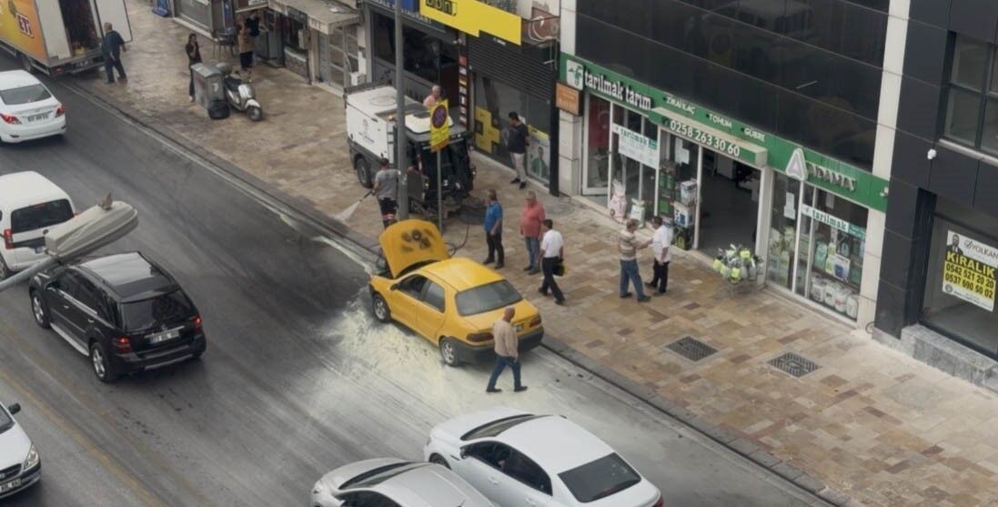 Otomobildeki Yangın (2)