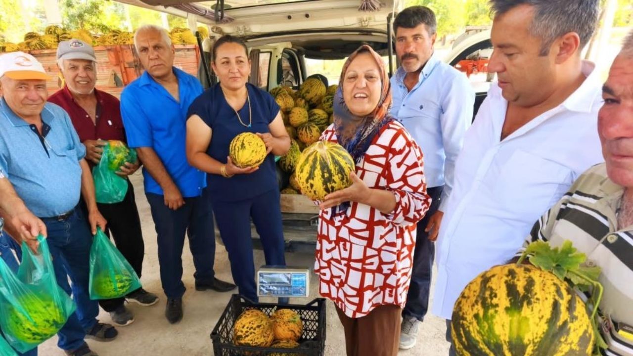 Afyonkarahisar’ın Altınova köyünde hiç sulanmadan ata tohumuyla yetiştirilen bal lezzetindeki kavunlar tarlada kapışılıyor. Köylüler, kuraklığa örnek olan bu eşsiz tadın tescillenmesini istiyor.