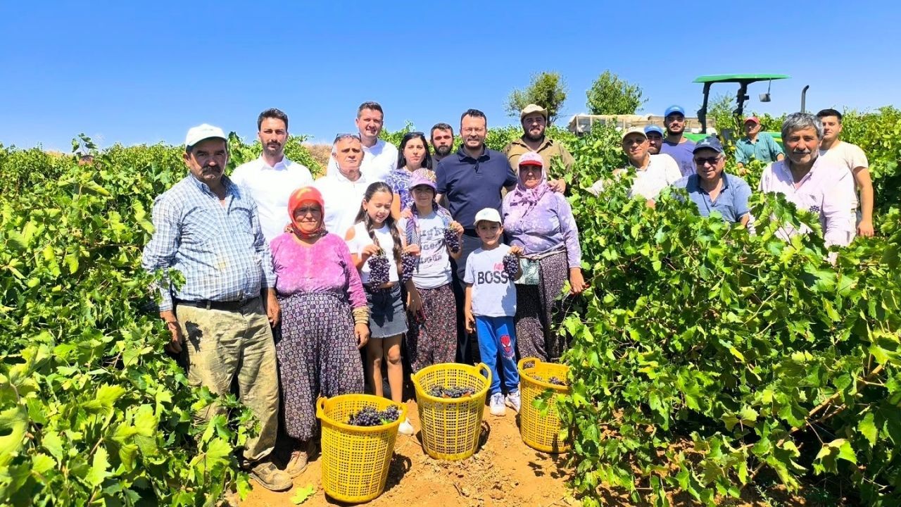 Maliyeti fırlayan, avans fiyatı 80 liraya düşen üzüm üreticisi isyanda. Denizli’de üzüm üreticilerini ziyaret eden YENİ Partili milletvekili Şeref Arpacı, siyasi iktidarı “Maliyeti düşürmüyor, ürünü değerinde almıyorlar. Üretici biterse yarın gıdayı kim üretecek?” sözleriyle eleştirdi.