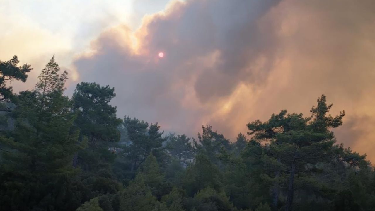Muğla Menteşe'de başlayan ve Ula'ya sıçrayan orman yangını nedeniyle Muğla-Denizli karayolu trafiğe kapatıldı. 