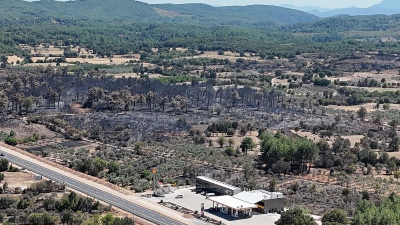 Muğla’da başlayan ve Ula’ya sıçrayan yangın 6 saatte kontrol altına alındı. Şiddetli rüzgârın büyüttüğü alevler, 100 hektar orman ile 50 hektar ziraat alanını ve zeytinlikleri küle çevirdi.