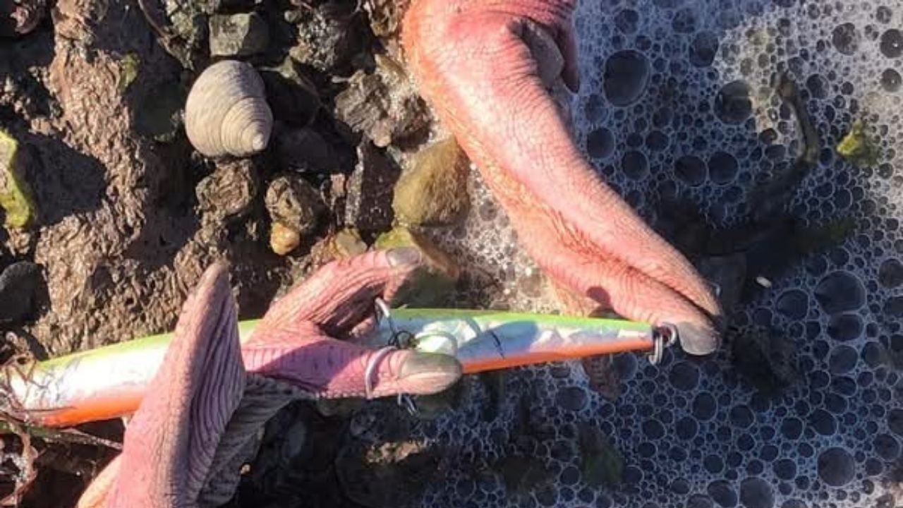 Flamingolara ev sahipliği yapan Didim'deki Milli Park alanında kaçak avcılık skandalı drone ile belgelendi. Hayvanseverler 300 metrelik dev balık ağına tepki göstererek denetim çağrısında bulundu.