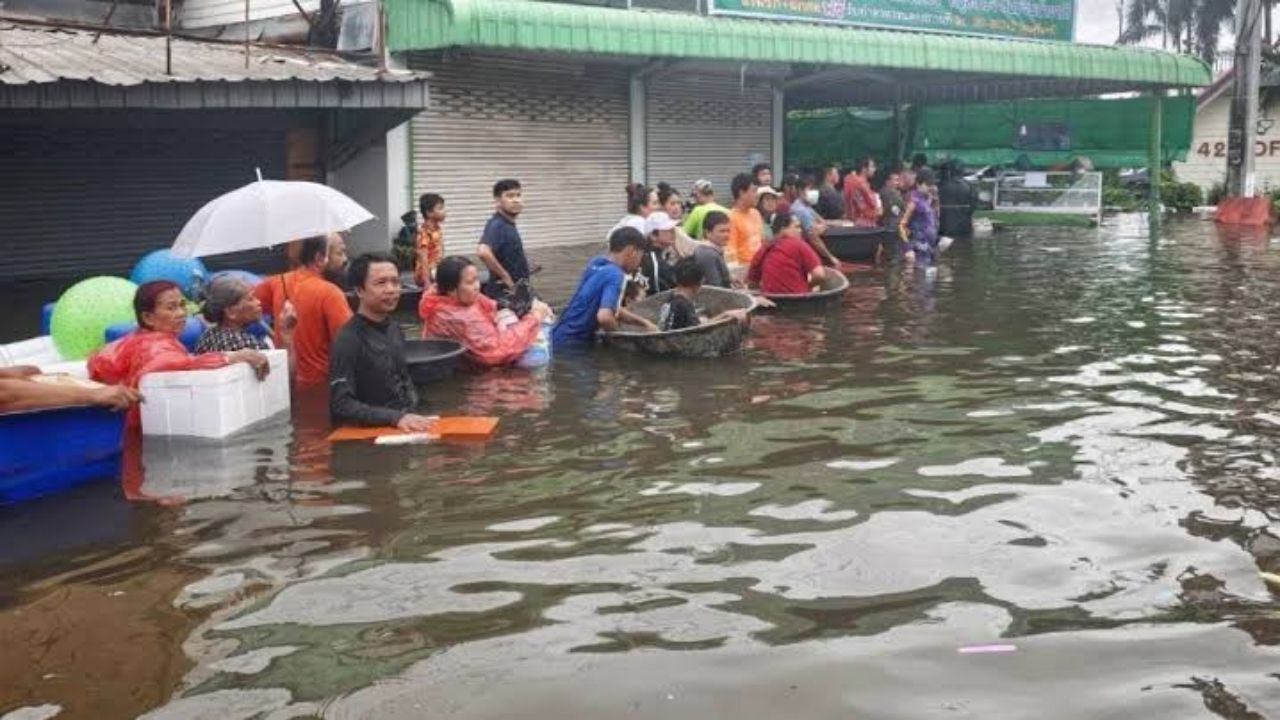 Dünya