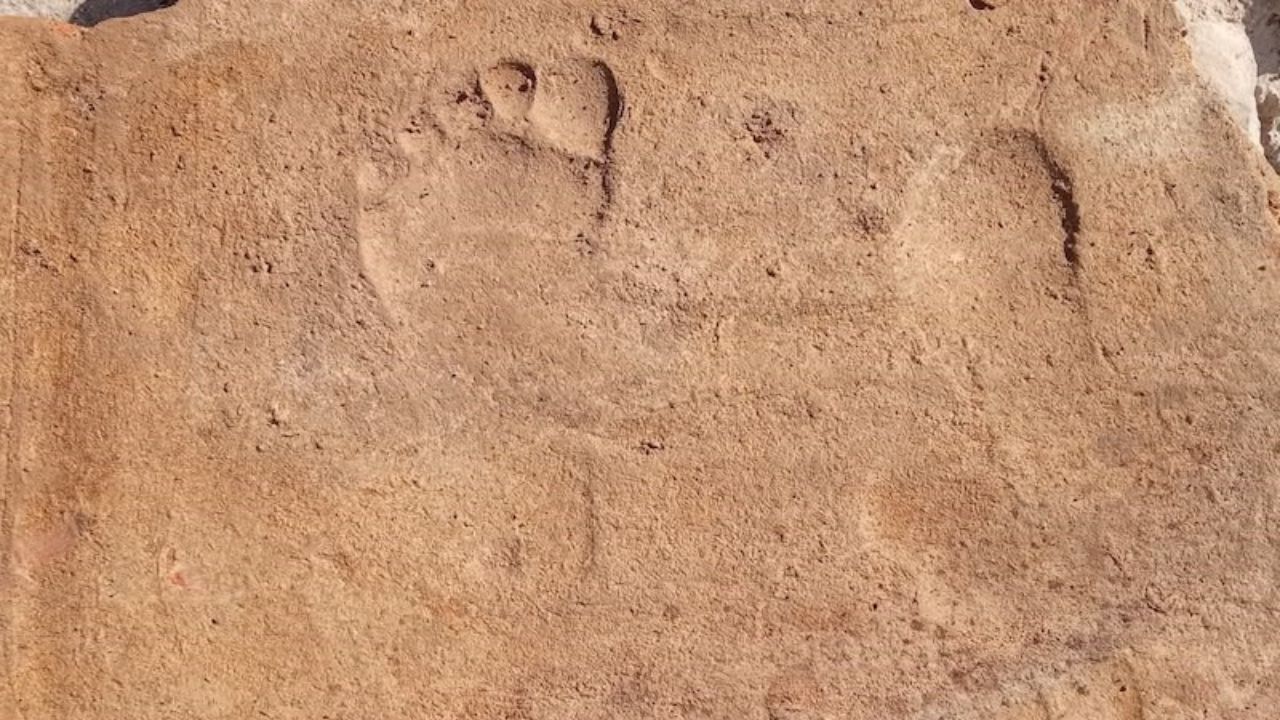 Stratonikeia Antik Kenti'nde Bin 900 Yıllık Çocuk Izleri Bulundu3