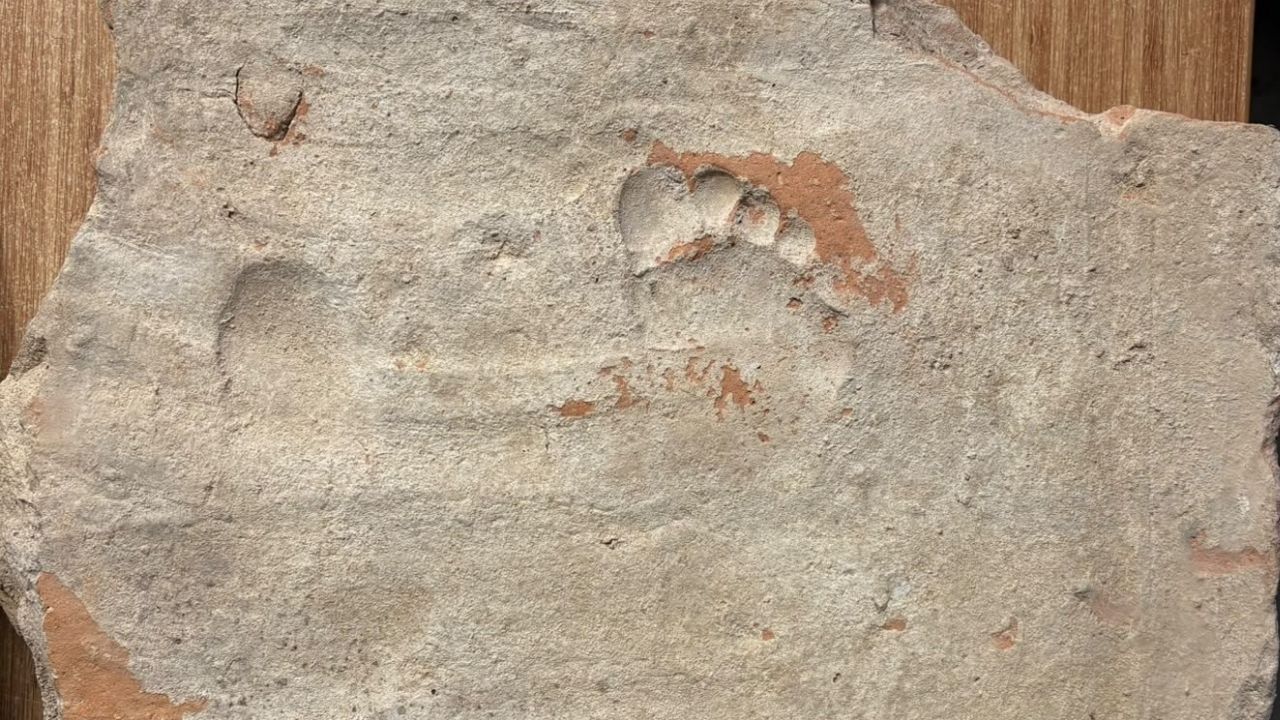 Stratonikeia Antik Kenti'nde Bin 900 Yıllık Çocuk Izleri Bulundu4