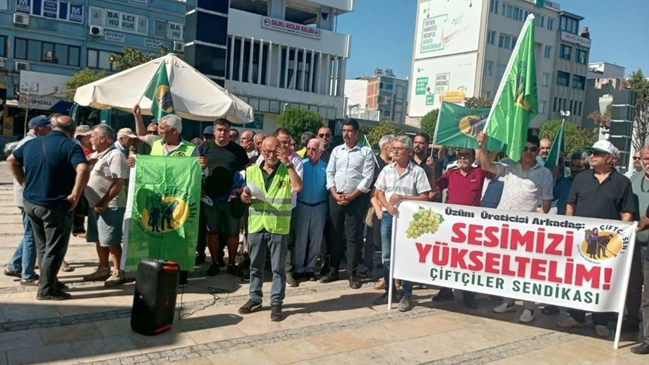 Üzüm Üreticisinin Beklentisi Suya Düştü 80 Liralık Fiyat Öfkesi! (2)-2