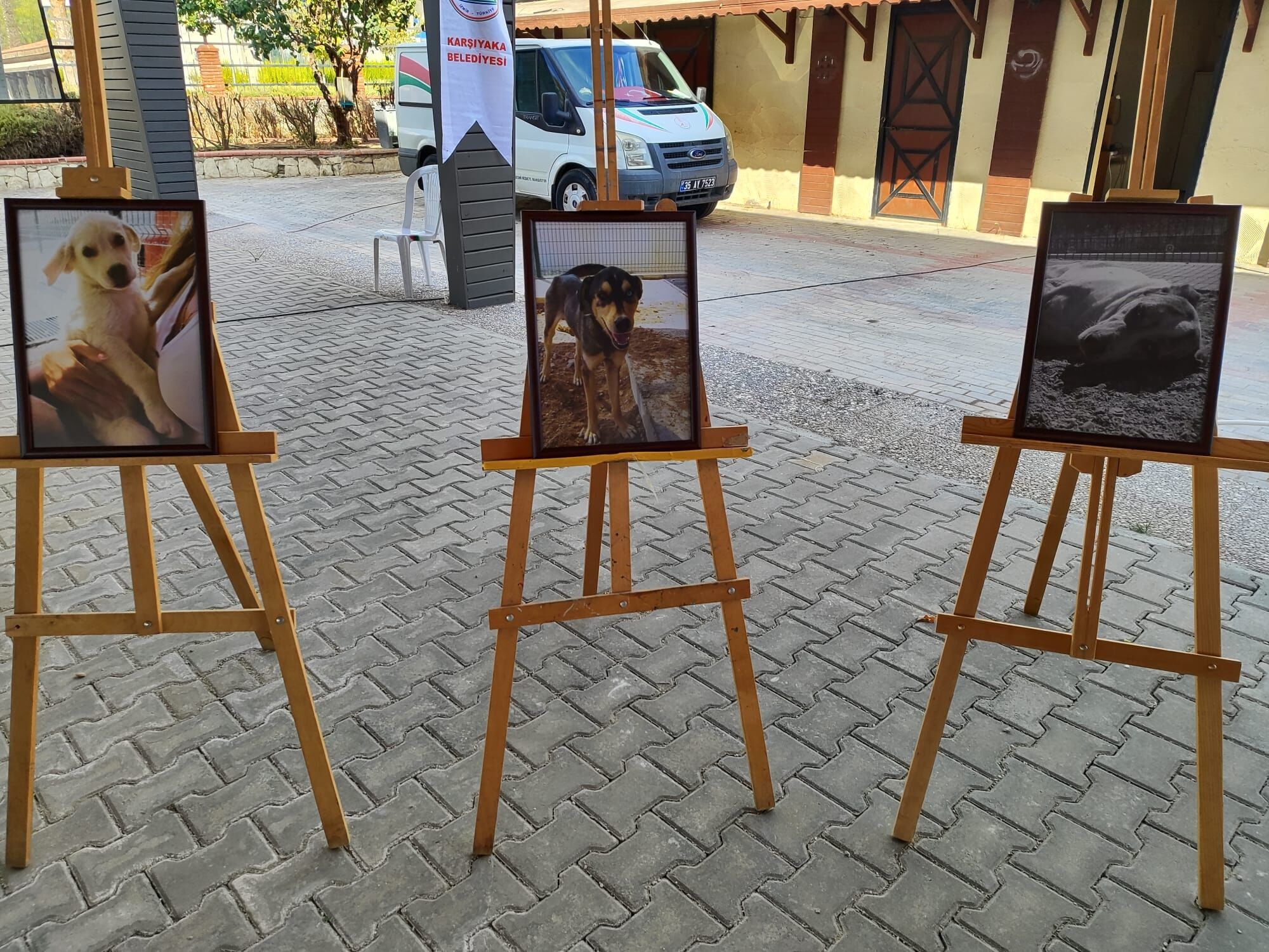 Karşıyaka Belediyesi ve Rotary kulüpleri işbirliğiyle Tay Park’ta düzenlenen “Bir Nota Bir Yuva” etkinliğinde müzik, fotoğraf sergisi ve sahiplendirme alanlarıyla sokak canlarına yuva arandı.