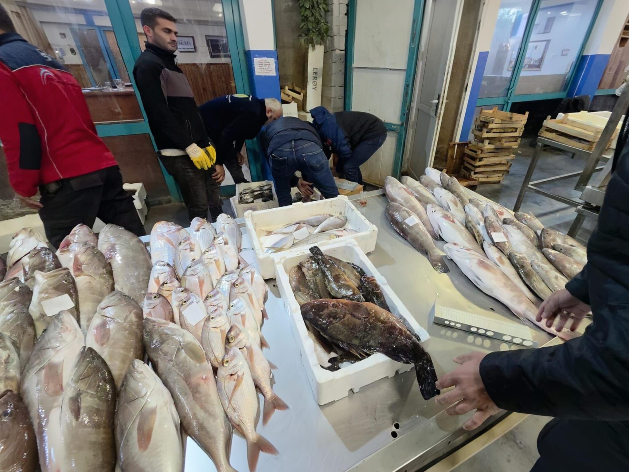 Buca Balık Hali’nde Yasa Dışı Avcılık Baskını 45 Kilo Su Ürününe El Konuldu! (3)