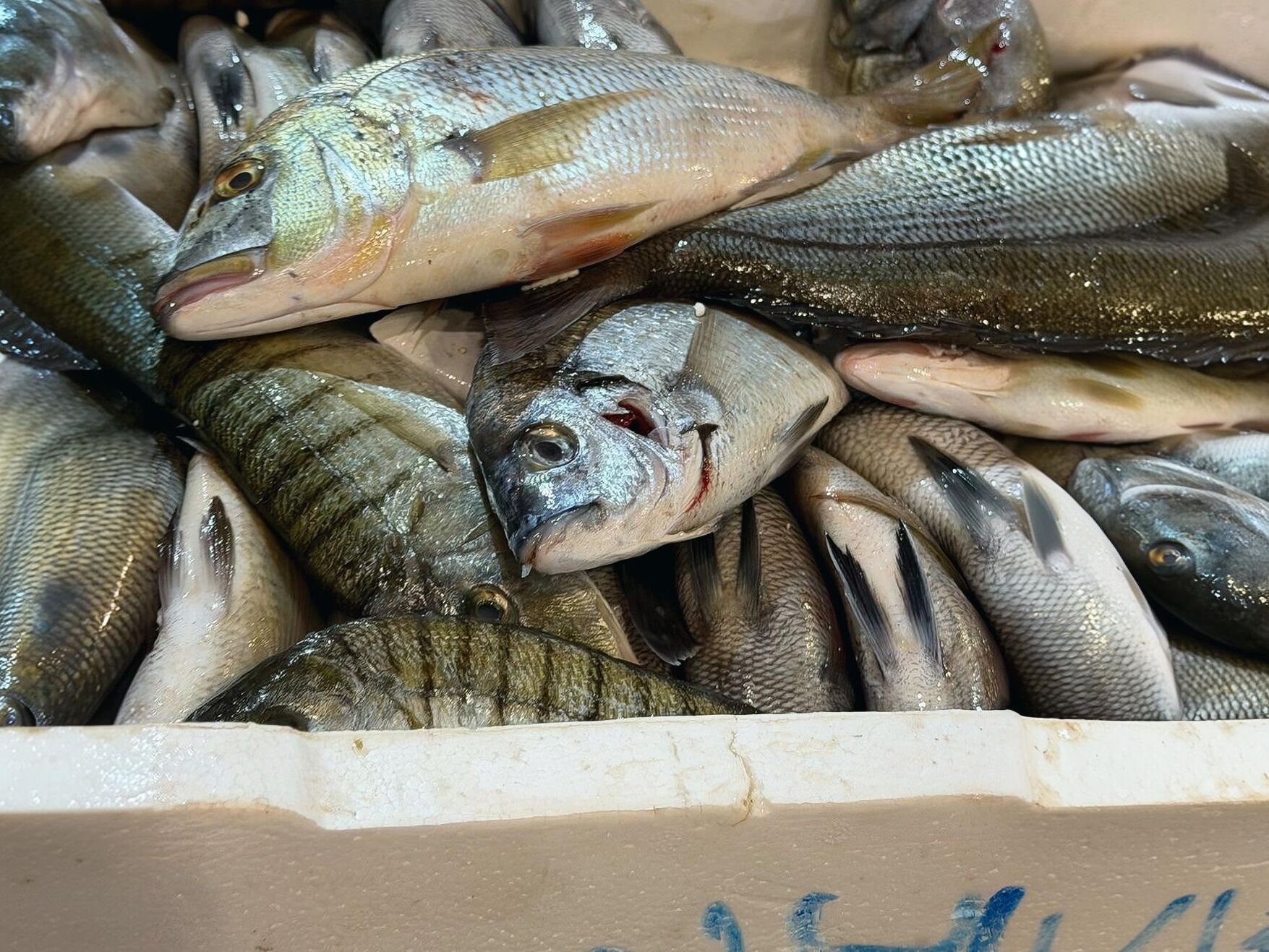 Buca Balık Hali’nde Yasa Dışı Avcılık Baskını 45 Kilo Su Ürününe El Konuldu! (4)