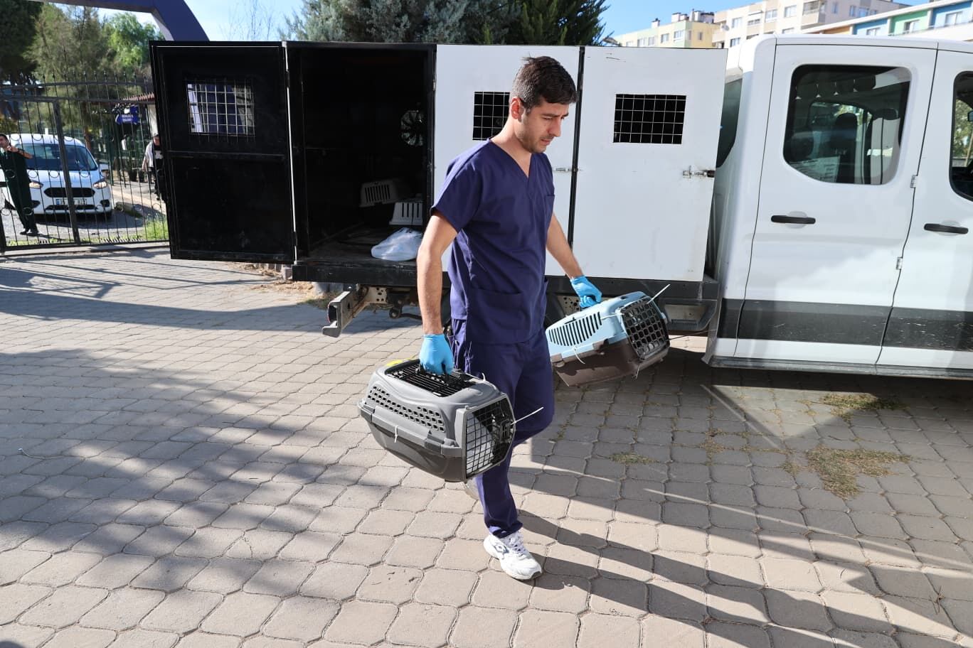 Buca’da Sahipli Hayvanlara Çip Ve Kısırlaştırma Mı Yapılıyor Belediyeden Iddialara Yanıt! (1)