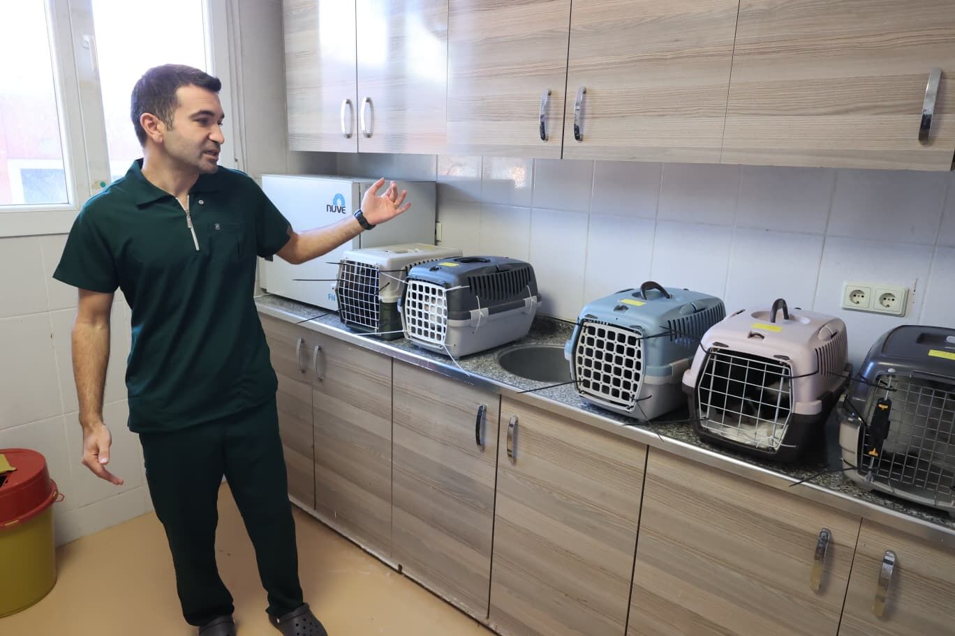 Buca’da Sahipli Hayvanlara Çip Ve Kısırlaştırma Mı Yapılıyor Belediyeden Iddialara Yanıt! (2)