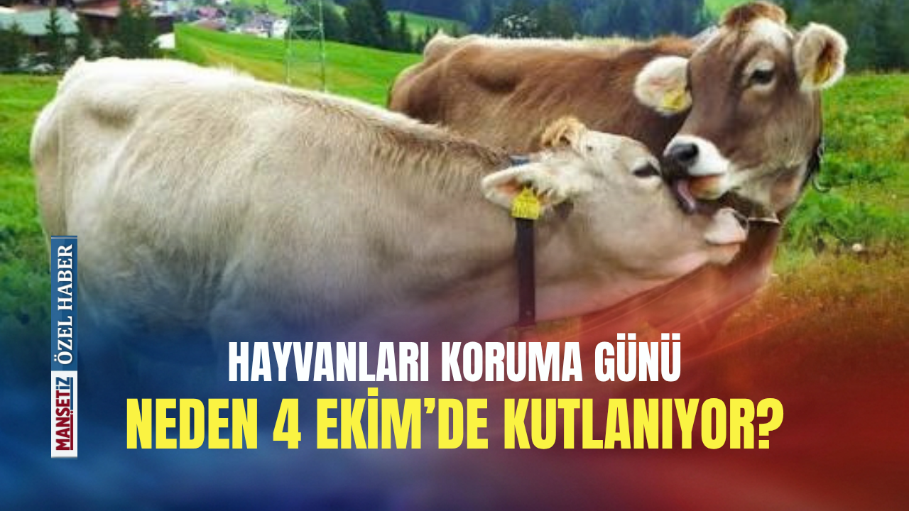 Hayvanları Koruma Günü neden 4 Ekim’de kutlanıyor?