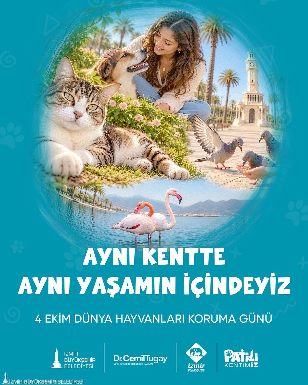 İzmir’de Sahipsiz Hayvanlar Için 30 Bin Metrekarelik Yaşam Alanı (1)-1