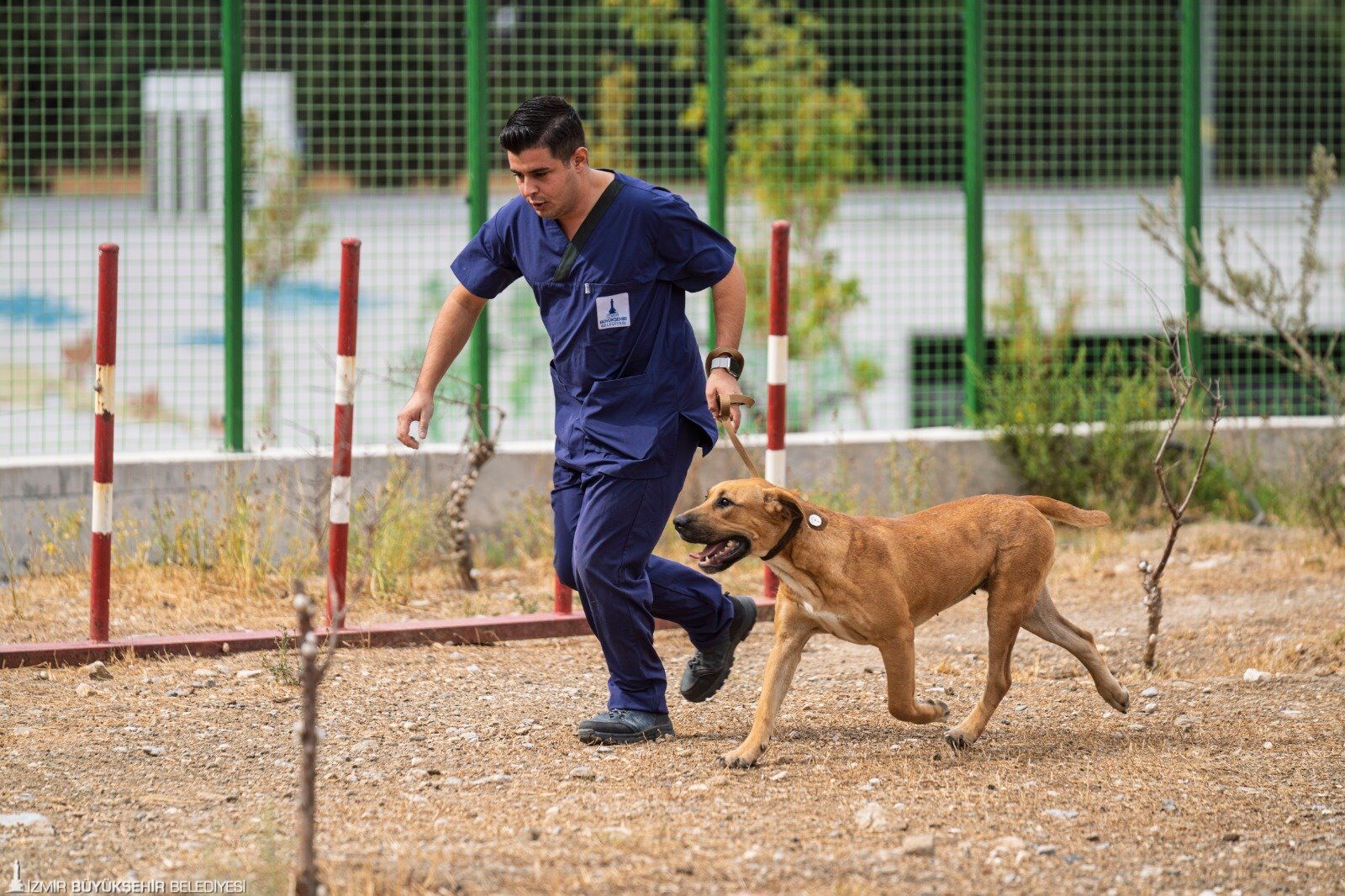 İzmir’de Sahipsiz Hayvanlar Için 30 Bin Metrekarelik Yaşam Alanı (2)