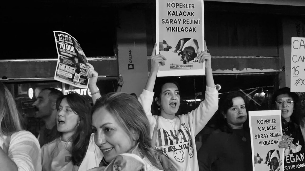 Kutlamaya Değil Hesap Sormaya Geldik!